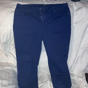 Eileen Fisher Royal Blue Trousers